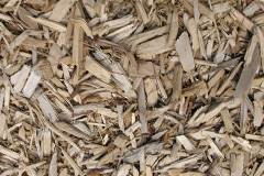 biomass boilers Oldwood